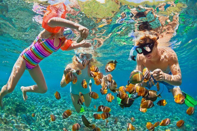 50' Luxury Yacht. Private Full or Half Day Catamaran Snorkel, & Beach Experience - 50 Luxury Catamaran on St Thomas: Real Privacy, Not Just a Bigger Boat