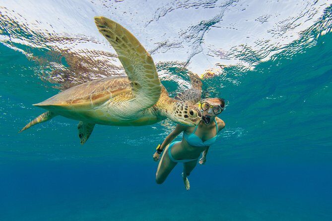 50' Luxury Yacht. Private Full or Half Day Catamaran Snorkel, & Beach Experience - Where You’ll Go: St Thomas, St John, and Nearby Cays