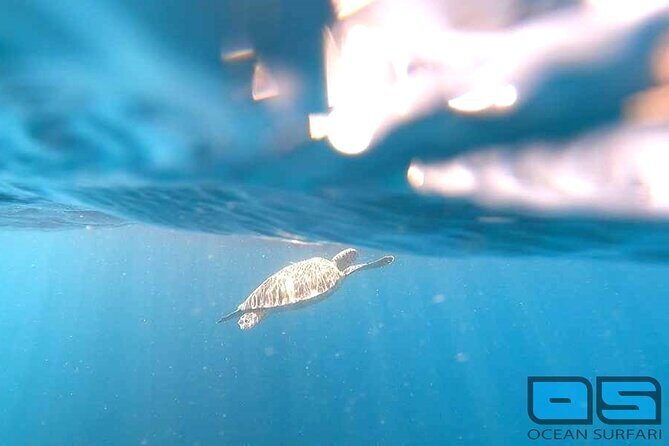 Afternoon Snorkel, Pizza & Sunset Tour departing from St. Thomas & St. John - Two National Park snorkeling stops: what your afternoon is actually about