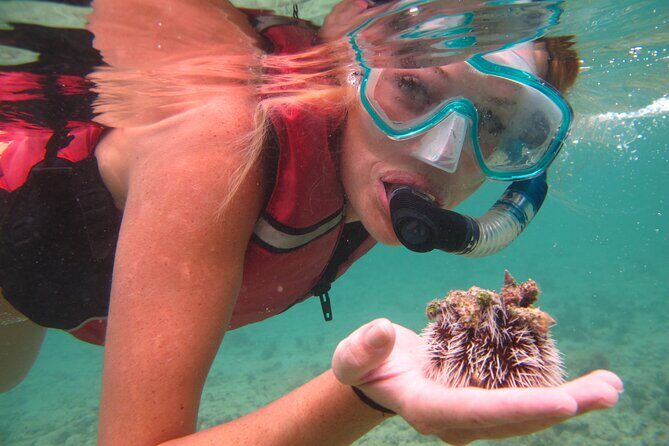 Cas Cay - Kayak Hike and Snorkel Adventure - How to Prep So the Day Feels Fun, Not Annoying