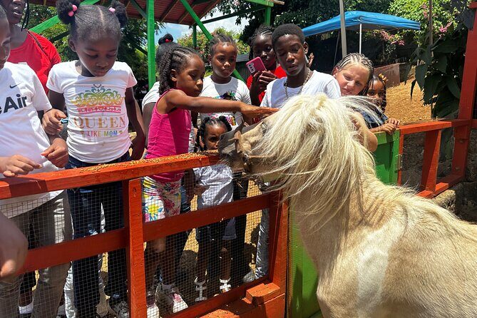 Connors Farms Petting Zoo - Meeting at Fortuna Road: the start matters more than you’d think