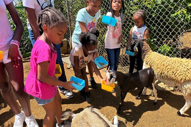 Connors Farms Petting Zoo - Who this petting zoo tour is best for