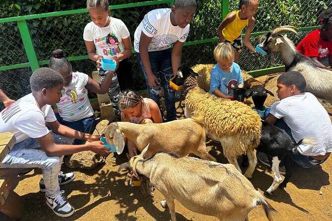 Connors Farms Petting Zoo - The Black Point Hill drive: why the ride is part of the attraction
