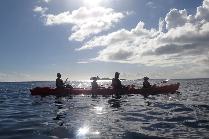 Coral Reef and Turtle Discovery Tour - Kayaking Over Clear Water: The Part You’ll Actually Remember