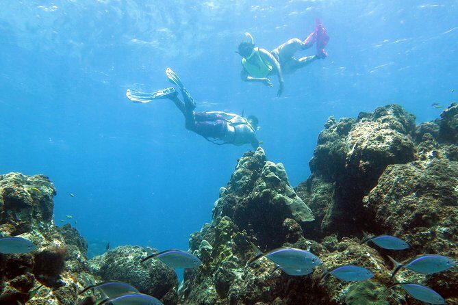 Coral Reef and Turtle Kayak Excursion - The kayak lesson: the part that makes snorkeling easier