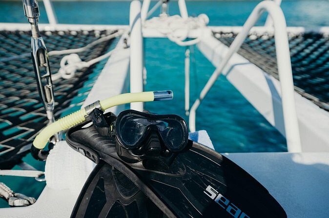Discover the Best of St. John - Snorkel, Beach & Shopping! - Snorkeling Virgin Islands National Park with included gear