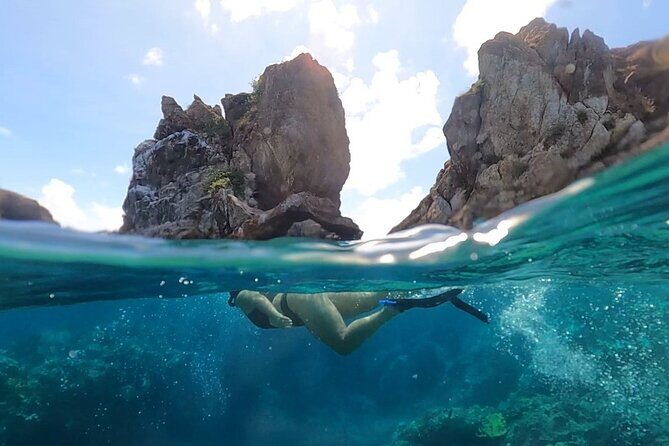 Full-Day Private Boat Charter from St. John or St. Thomas - Waterlemon Cay: Reefs and the Elkhorn Coral Story