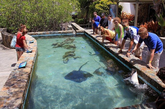 Guided Tour of Coral World Ocean Park & Happy Hour - After the tour: free time to explore your way