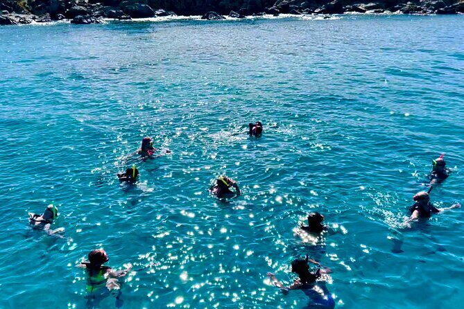 Half Day Luxury Catamaran Turtle Snorkel And Beach - Where you meet, and why that location matters
