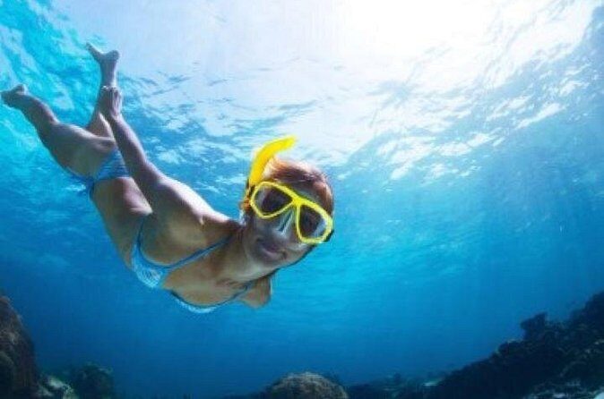 Half Day Snorkeling Tour from Margaritaville - Snacks, Unlimited Drinks, and the Open Bar After Snorkeling