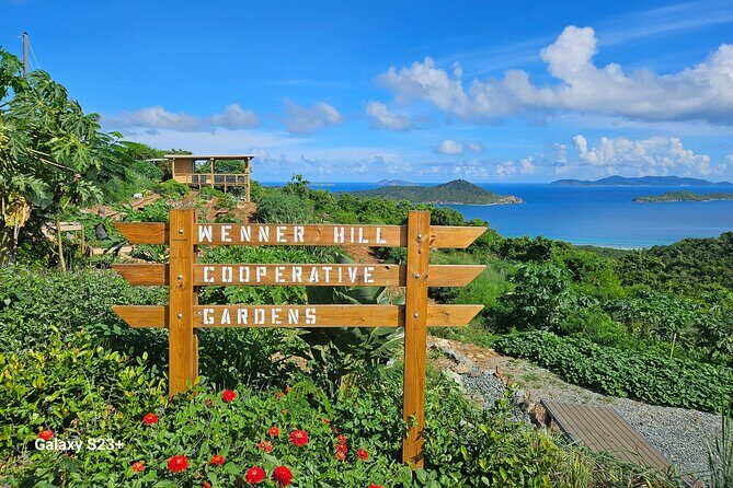 Island Eco Farm Tour with Local Treats and Sapphire Beach Time - From the observation deck to the snack table: local delicacies and drinks