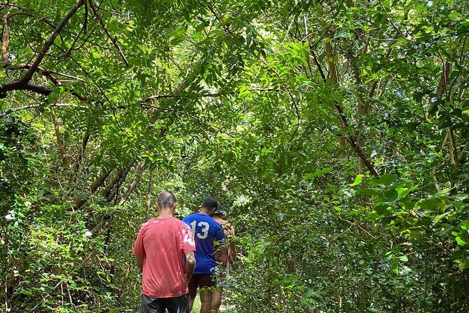 Magens Bay Trail Hiking Tour - Photo stops and “treasure hunt” energy along the way