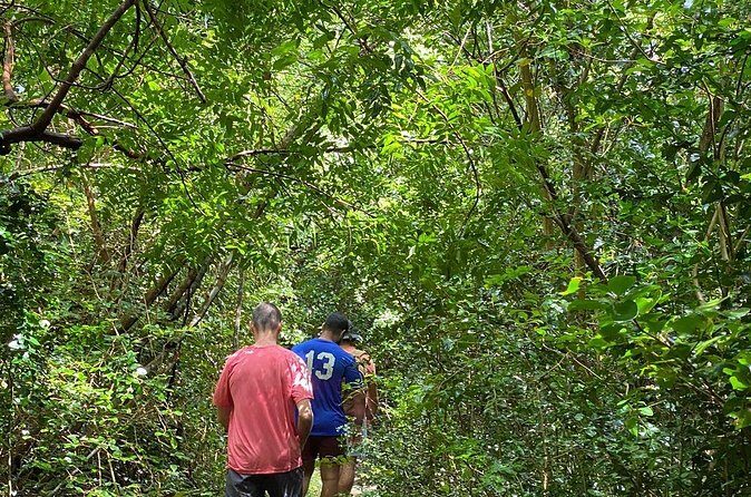 Magens Bay Trail Hiking Tour - How hard is it, really? Fitness and body-check guide
