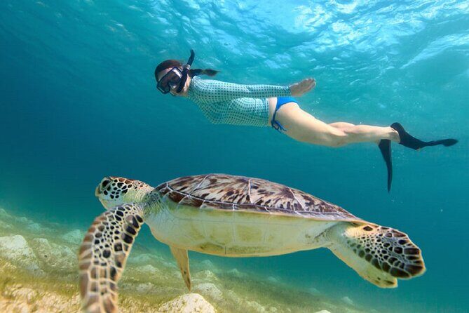 Maho Bay Turtle Snorkel with Lunch and Bar at Frenchman's Reef - Jost Boat from the Westin: timing, group size, and comfort