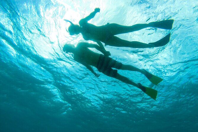 Maho Bay Turtle Snorkel with Lunch and Bar at Frenchman's Reef - Price and value: is $139 a good deal for this setup?