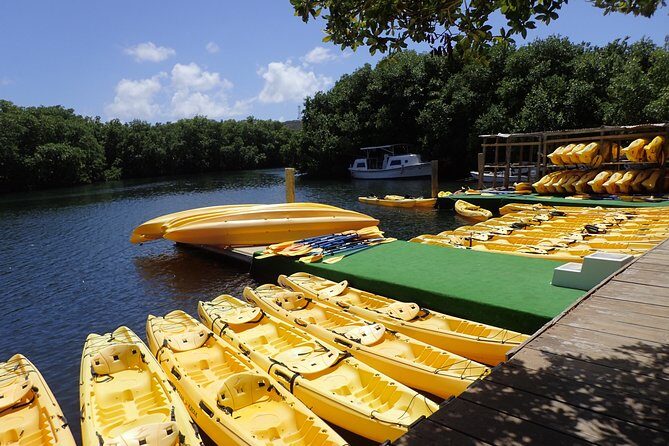 Mangrove Lagoon Kayak Rental in St Thomas - What’s Included vs. What You Bring: Kayak, Snorkels, Life Jacket