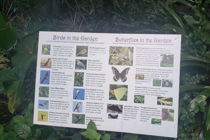 Nature and Sightseeing at Phantasea Tropical Botanical Garden - Price and value: $15.80 feels fair when it fits your day