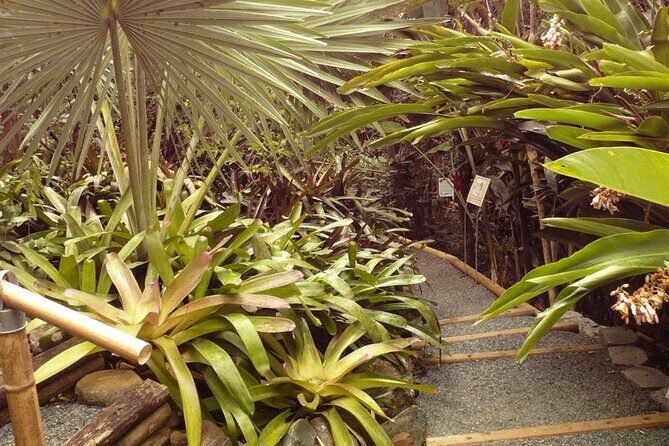 Nature and Sightseeing at Phantasea Tropical Botanical Garden - The main event: your Phantasea garden walk