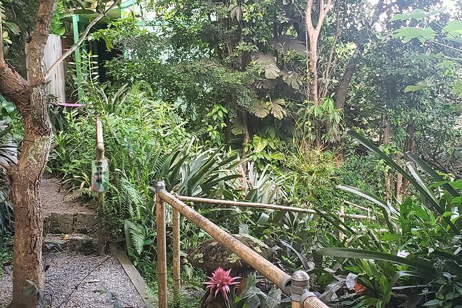 Nature and Sightseeing at Phantasea Tropical Botanical Garden - How to make the most of 45–60 minutes on the grounds