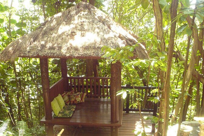 Nature and Sightseeing at Phantasea Tropical Botanical Garden - The guide and driver part: what it adds (and what it doesn’t)