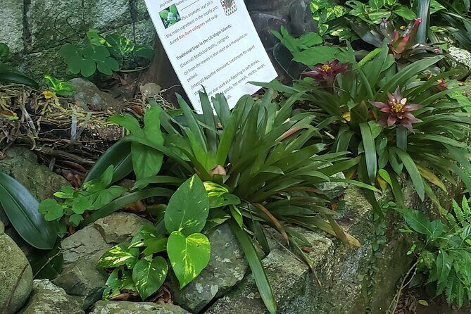 Nature and Sightseeing at Phantasea Tropical Botanical Garden - Getting there smoothly: 9:00am, pickup options, and how long it really takes