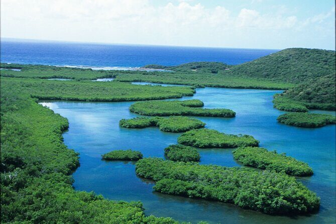On Your Own: Kayak in the Mangrove Lagoon - Getting Set Up at VI Ecotours: What You Pick Up and What to Bring