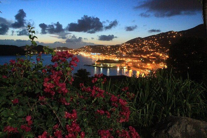 Paradise Taxi & Tours USVI Airport Transport Hampton by Hilton - Optional Stop for Groceries: Worth It or Skip It?