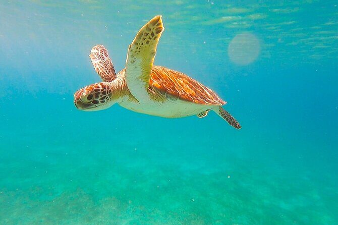 Private Full Day Sail in Virgin Islands National Park - Snorkeling gear and crew support for different comfort levels