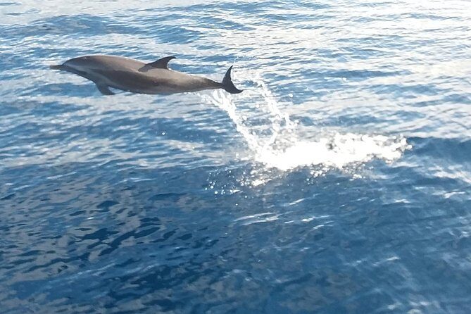 Private Full Day Sail/ Snorkel Experience USVI (Sapphire Marina, STT pick up) - What to pack and what to skip (towels, sunscreen rules)