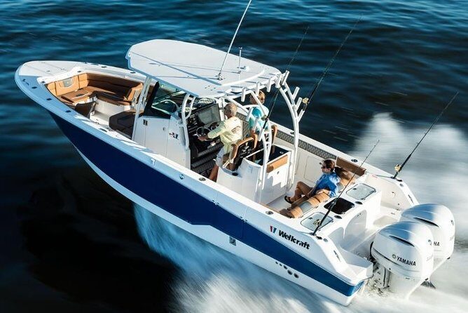 Private New Powerboat to St John & LimeOut. Full Day USVI - Snorkeling with included gear, plus sea turtles on the watch list