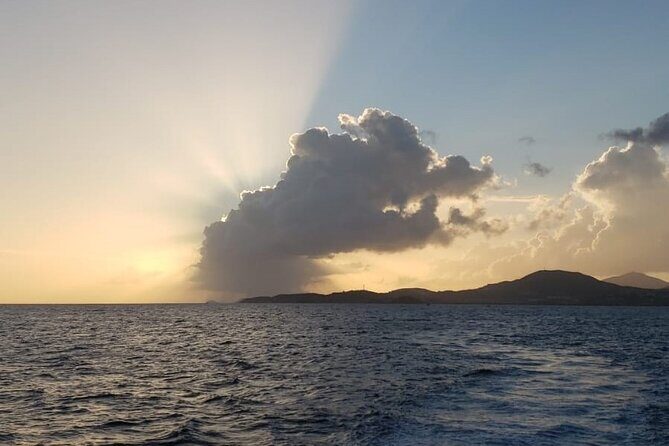 Private Sunset Charter + Guided Night Snorkeling in St Thomas - Wildlife spotlight: turtles, rays, and the weirdly wonderful night crew