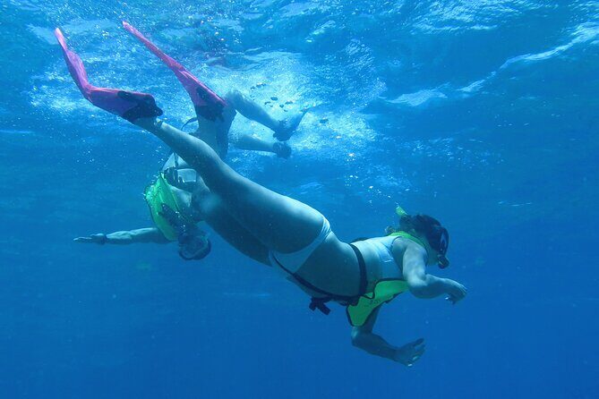 Reef and Turtle Adventure - Kayak and Snorkel Tour - Key Things to Know Before You Go