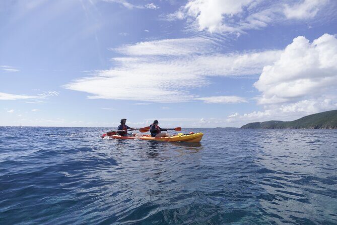 Reef and Turtle Adventure - Kayak and Snorkel Tour - The kayaking part: instruction, pacing, and staying comfortable