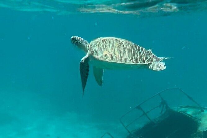 Sail and Snorkel Private Charter - Half Day Morning - A private charter from St Thomas that actually feels private