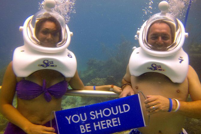 Sea Trek Helmet Dive at Coral World Ocean Park - Getting your helmet on: what the experience actually involves