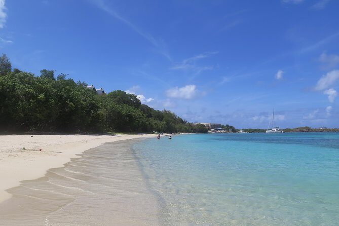 Small Group Sea Turtle Tour (Guaranteed to see turtles) - How the 2-hour experience usually plays out