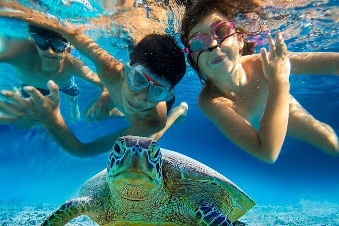 Snorkel and Sunset Cruise from Margaritaville Resort - Price and value: does $150 buy a good afternoon?
