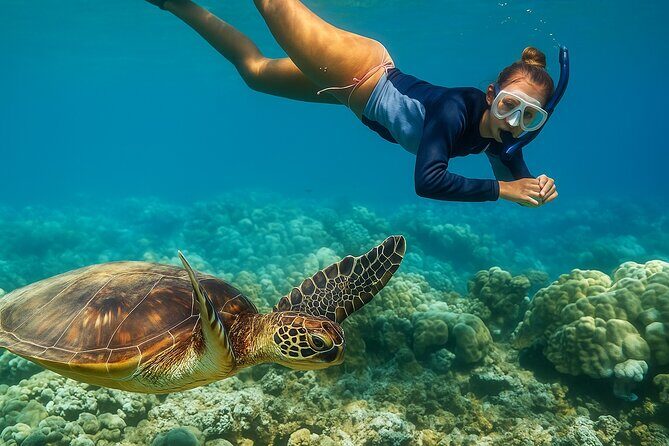 Snorkel and Sunset Cruise from Margaritaville Resort - Hors d’oeuvres from Chef Krygsveld: the food part that actually matters