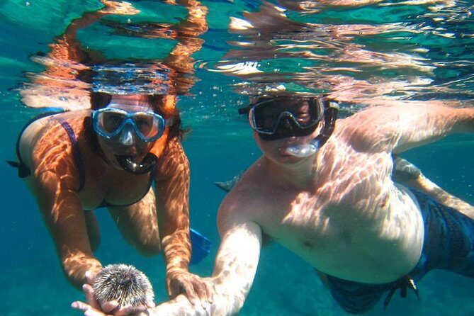 Snorkel Tour - Quick hits before you go