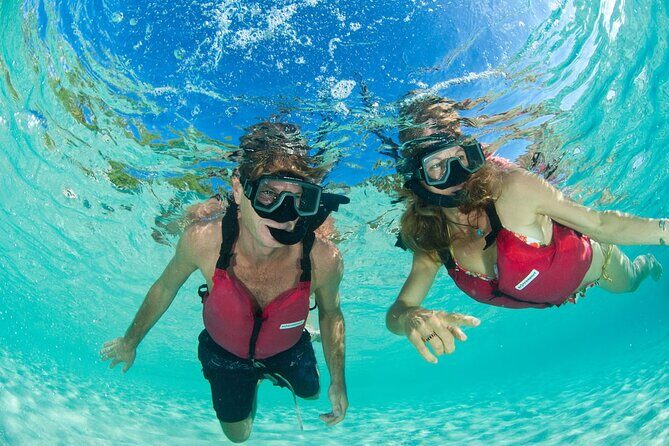 Snorkeling with Sea Turtles at St. Thomas - Gear and water comfort: what’s provided and what you should plan