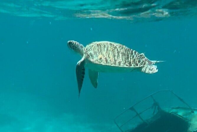 St Thomas - Jeep Tour Customized Itinerary 5hrs - Magens Bay and the Blackbeard sites: scenery plus story