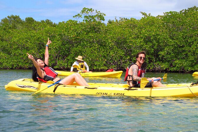 St Thomas Mangrove Lagoon Kayak and Snorkel Tour in the US Virgin Islands - Getting your bearings at the Virgin Islands Ecotours meeting point
