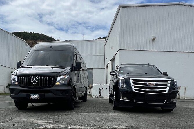 ST.Thomas Private Airport One-Way Transfers - The Pickup Plan: Waiting Like a Pro at the Airport
