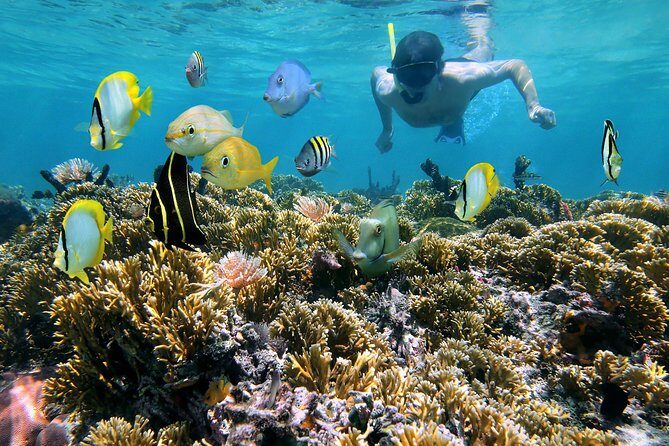 St Thomas~St John Snorkel, Swim & Beach Trip on MV Island Flyer - Key things that matter on this trip