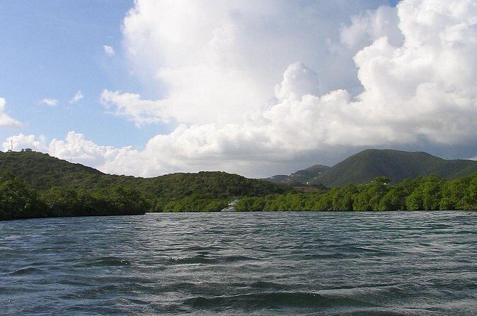 Stand Up Paddleboard Rental in St Thomas - Wildlife Spotting Without Losing Your Balance