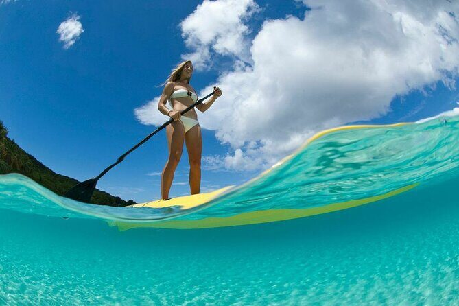 Stand Up Paddleboard Rental in St Thomas - Your Launch Point at 9:00am: Mangrove Lagoon and the Wildlife Sanctuary Mood