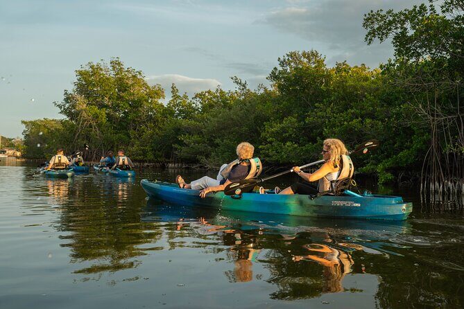 Sunset Kayak Tour in the Mangrove Lagoon, St Thomas - Getting to the Marina (and Where to Eat After)