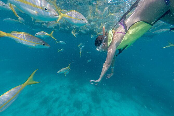 Turtle Snorkel Sail on Buck Island from Frenchman's Reef - From the Westin to Buck Island: the Morning Sail That Sets the Tone