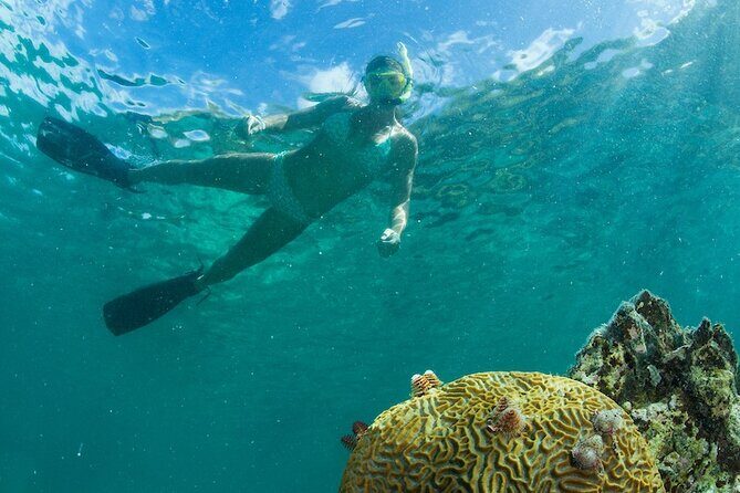 Turtle Snorkel Sail on Buck Island from Frenchman's Reef - Price and Logistics: Budget Reality for a $129 Snorkel Sail