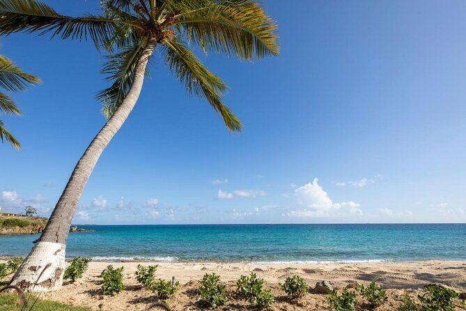Vi Top Taxi & Tours -Airport Transfer to Bolongo Bay/ Limetree - Price and logistics: how to judge value for your group